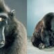The famous photographer Jill Greenberg? Inside the Life, Net Worth, Family, and Career