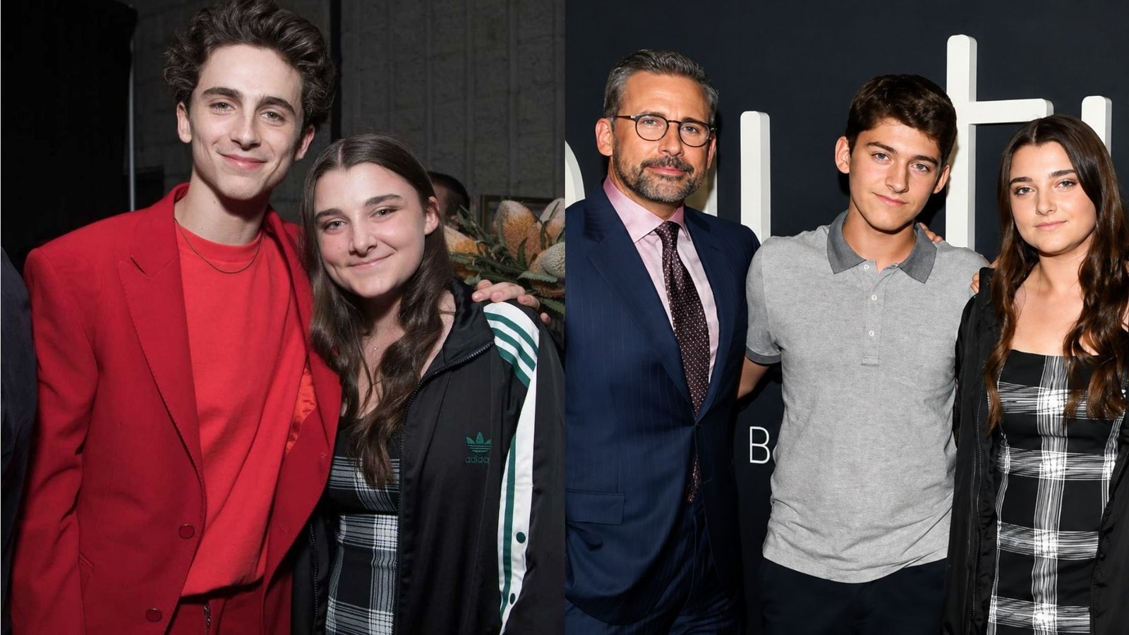 Who Is Elisabeth Anne Carell? The Life Of Steve Carell’s Daughter